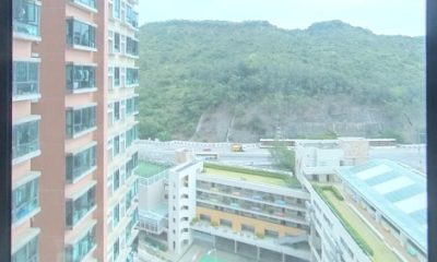 清水灣半島 2期 6座